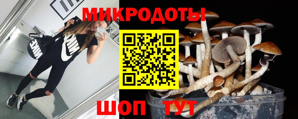 Киселёвск  Галлюциногенные грибы прущие грибы  Вход с VPN 