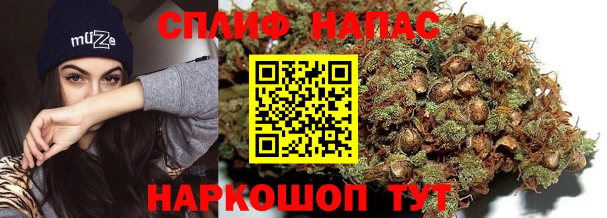 Бошки Шишки ГИДРОПОН  Вход с VPN  МАРИХУАНА план  Каннабис планчик  Киселёвск 